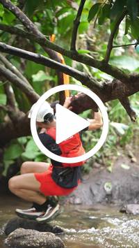 BIB:  <button type="button" onclick="openModal(27559161)" class="btn btn-primary btn-sm float-right" data-toggle="modal" data-target=".modal-high-quality">
                <i class="fa fa-download"></i> Download
                </button>